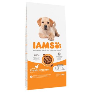 IAMS Advanced Nutrition Puppy Large kuřecí - výhodné balení: 2 x 12 kg