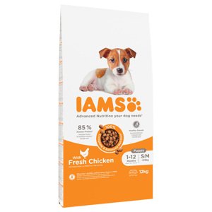 IAMS Advanced Nutrition Puppy Small / Medium Breed kuřecí - výhodné balení: 2 x 12 kg