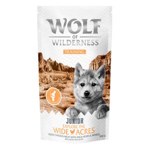 Wolf of Wilderness Training  "Explore" snack, 100g - 15 % sleva - 100 g  JUNIOR “Explore the Wide Acres” s kuřecím