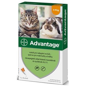 Antiparazitika pro kočky