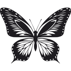 Vsepropejska Motýl dekorace na zeď 11 Rozměr (cm): 38 x 30, Dekor: Černá